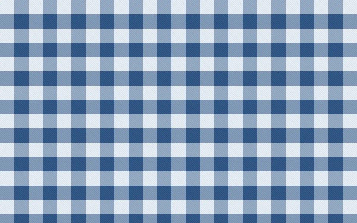 Jodhpur Indigo Check — light blue plaid background