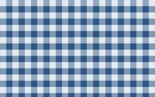 Jodhpur Indigo Check — light blue plaid background