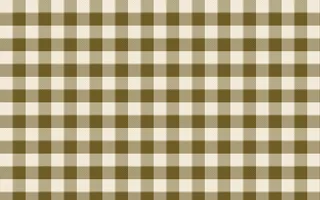 Kerala Spice Check — light beige and brown plaid background