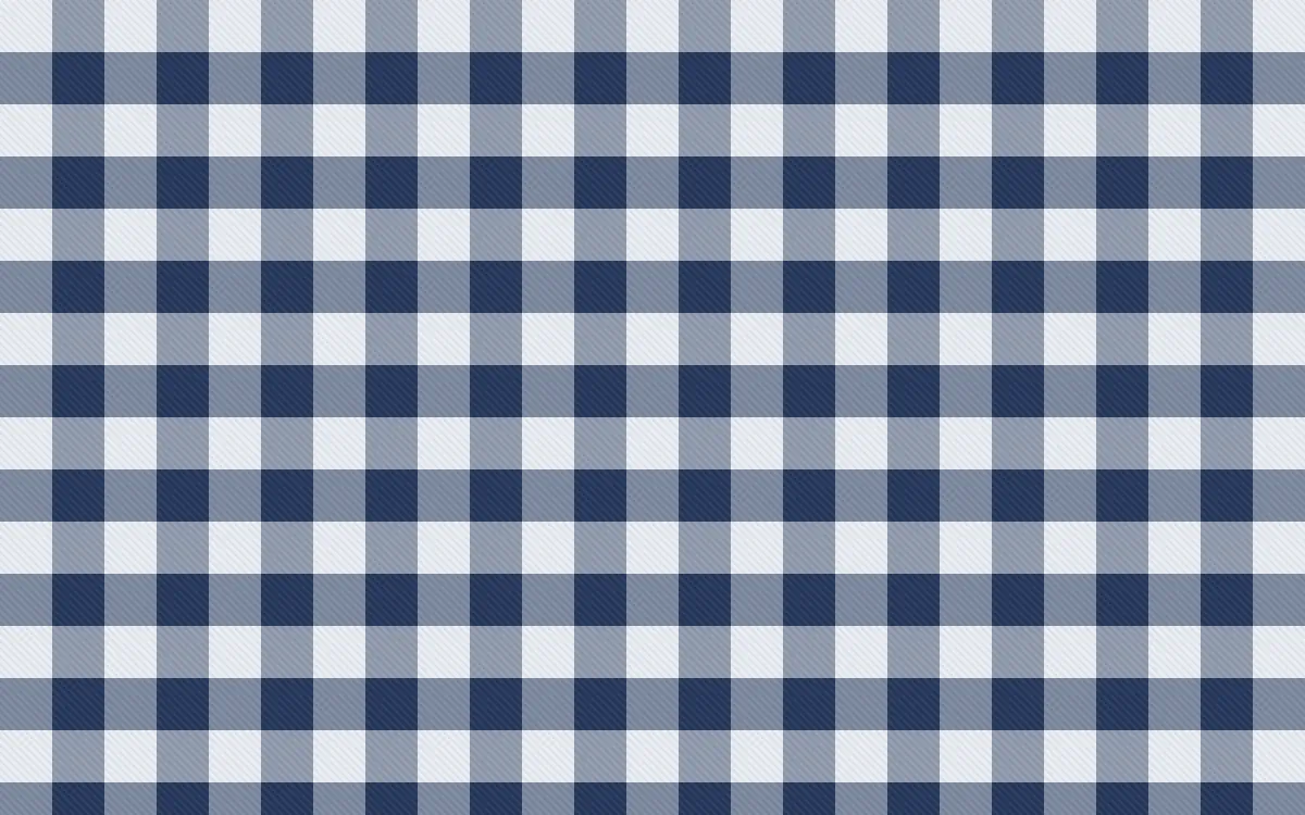 Kyoto Indigo Check — light white and blue plaid background