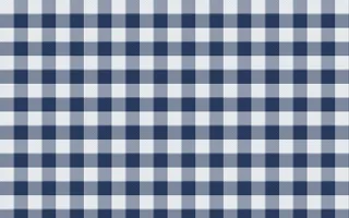 Kyoto Indigo Check — light white and blue plaid background