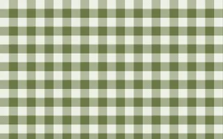 Matcha House Check — light white and green plaid background