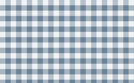 Montréal Hiver Check — light white and blue plaid background