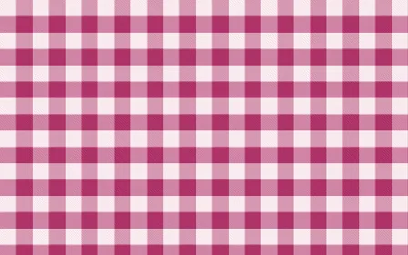 Oaxaca Pink Check — light white and pink plaid background