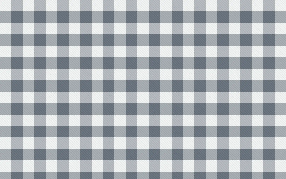 Paris Zinc Check — light white and blue plaid background