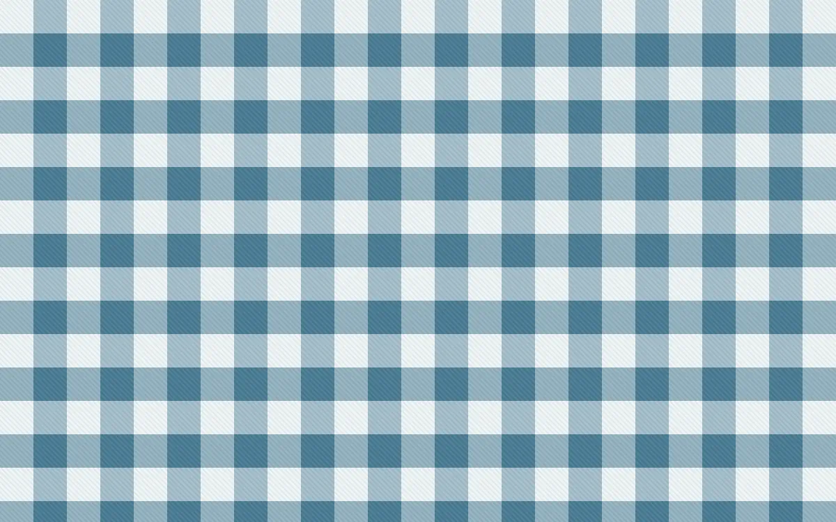 Udaipur Lake Check — light white and blue plaid background