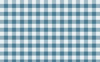 Udaipur Lake Check — light white and blue plaid background