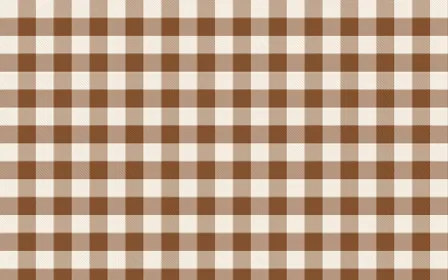 Zanzibar Spice Check — light beige and brown plaid background