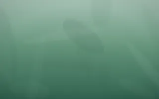 Emerald Mist Plaster V — dark green plaster wall background, variation V