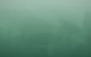 Emerald Mist Plaster X — dark green plaster wall background, variation X
