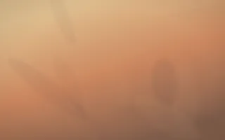 Golden Hour Plaster II — colourful orange and pink plaster wall background, variation II