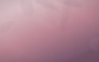 Rose Dusk Plaster — colourful red, pink and purple plaster wall background