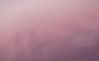 Rose Dusk Plaster VII — colourful red, pink and purple plaster wall background, variation VII