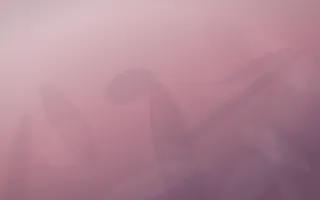 Rose Dusk Plaster XI — colourful red, pink and purple plaster wall background, variation XI