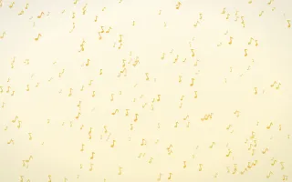 Buttercream Notes Dense — light gold, yellow and white playful background