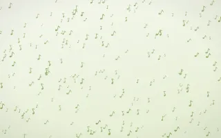 Matcha Latte Notes Dense — light green and white playful background