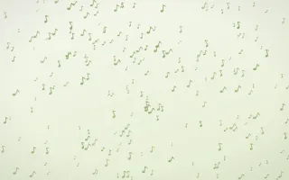 Matcha Latte Notes Dense II — light green and white playful background, variation II