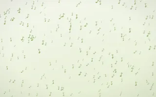 Matcha Latte Notes Dense III — light green and white playful background, variation III