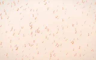 Peach Fuzz Notes Dense — light orange and white playful background