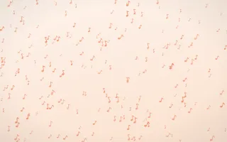Peach Fuzz Notes Dense II — light orange and white playful background, variation II