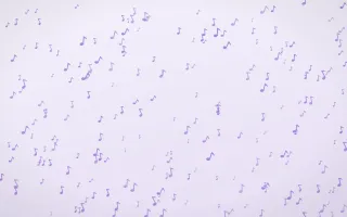 Wisteria Notes Dense — light purple and white playful background