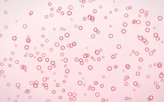 Cherry Soda Rings Dense III — light red and white playful background, variation III