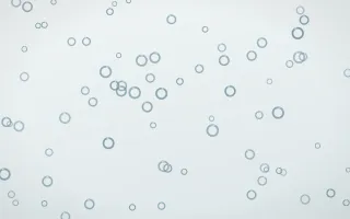 Coastal Fog Rings III — light blue and white playful background, variation III
