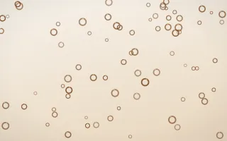 Cocoa Rings Cocoa Rings — light brown, orange and white playful background