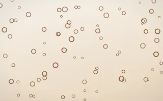Cocoa Rings II — light brown, orange and white playful background, variation II