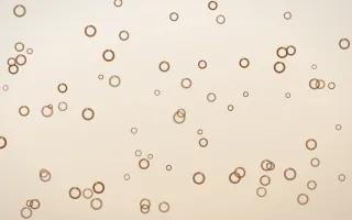 Cocoa Rings III — light brown, orange and white playful background, variation III