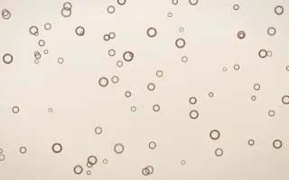 Espresso Rings — light brown, orange and beige playful background
