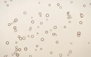 Espresso Rings II — light brown, orange and beige playful background, variation II