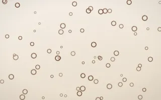 Espresso Rings III — light brown, orange and beige playful background, variation III