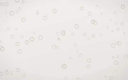 Fogline Rings — light grey, orange and white playful background