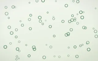 Forest Cream Rings — light green and white playful background