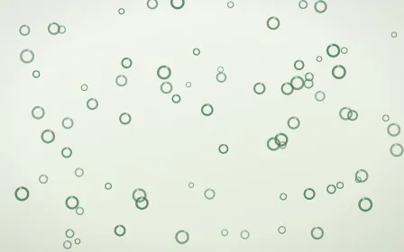 Forest Cream Rings — light green and white playful background