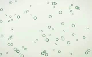 Forest Cream Rings III — light green and white playful background, variation III