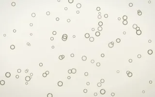 Fresh Linen Rings — light yellow and white playful background