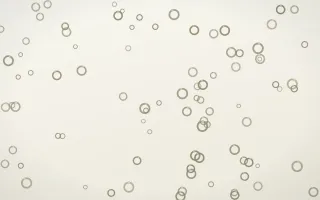 Fresh Linen Rings II — light yellow and white playful background, variation II