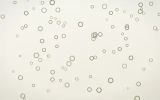 Fresh Linen Rings III — light yellow and white playful background, variation III