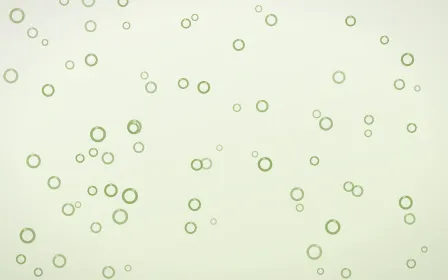 Matcha Latte Rings — light green and white playful background