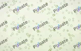 Matcha Latte Rings Dense — light green and white playful background