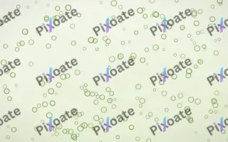 Matcha Latte Rings Dense III — light green and white playful background, variation III
