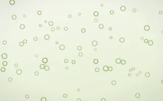 Matcha Latte Rings III — light green and white playful background, variation III