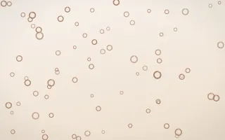 Mocha Milk Rings — light orange and white playful background