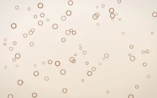 Mocha Milk Rings III — light orange and white playful background, variation III