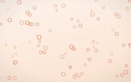 Peach Fuzz Rings — light orange and white playful background