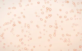 Peach Fuzz Rings Dense — light orange and white playful background