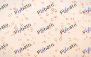 Peach Fuzz Rings Dense — light orange and white playful background