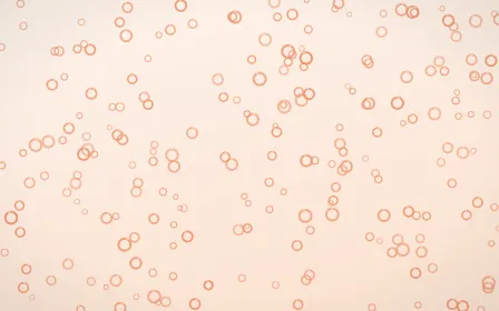 Peach Fuzz Rings Dense — light orange and white playful background